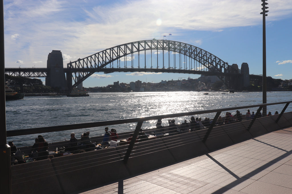 The famous Sydney Harbour Bridge