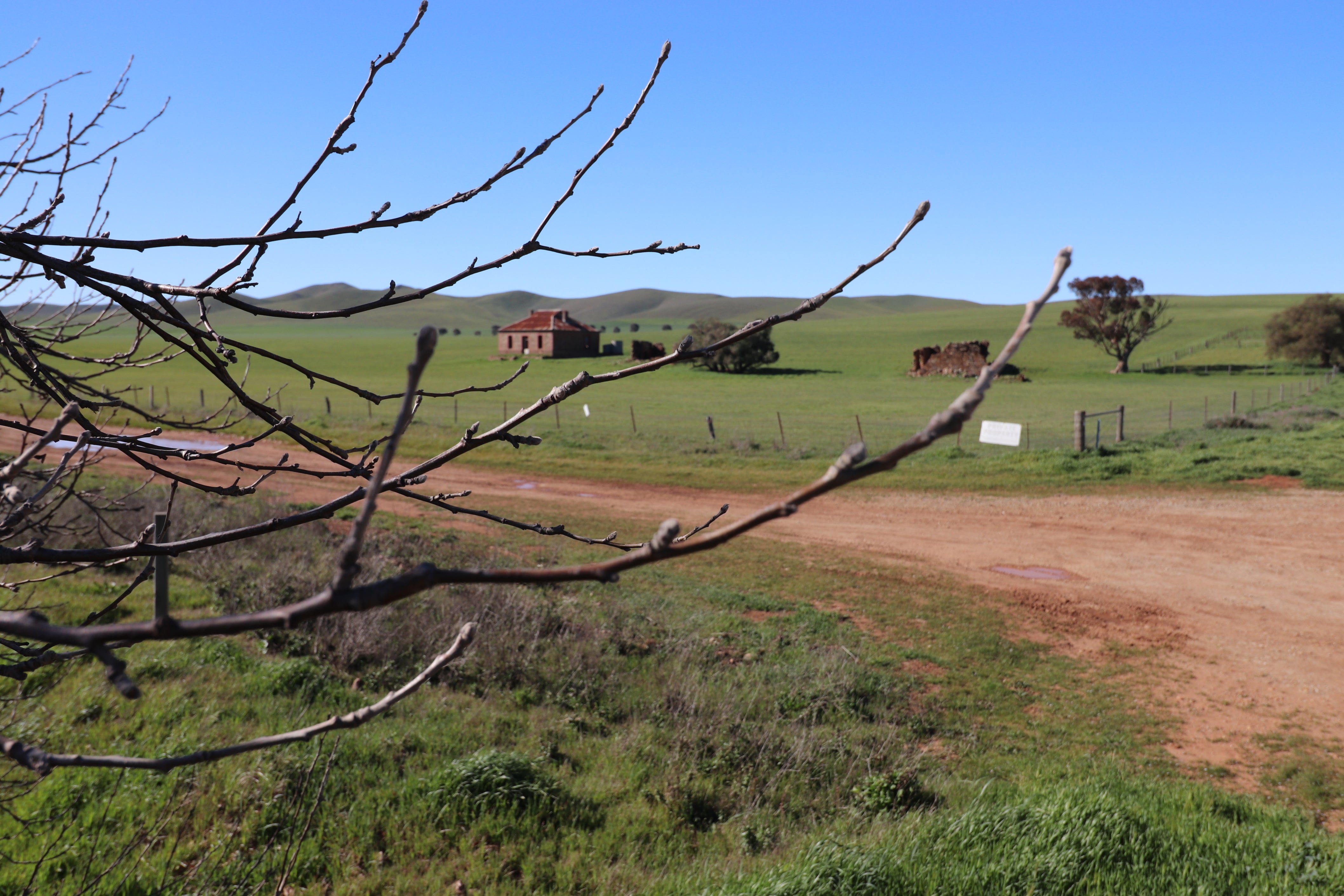 An old house on the Goyder Highway outside Burra